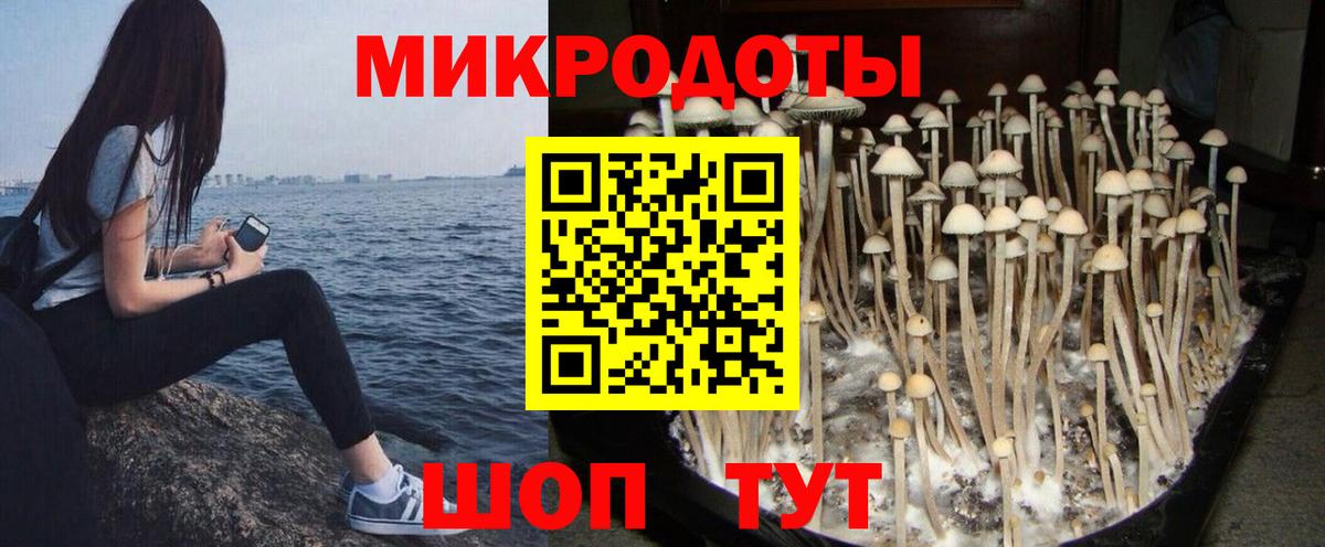 Галлюциногенные грибы мицелий  Вход с VPN  продажа наркотиков  Сертолово 